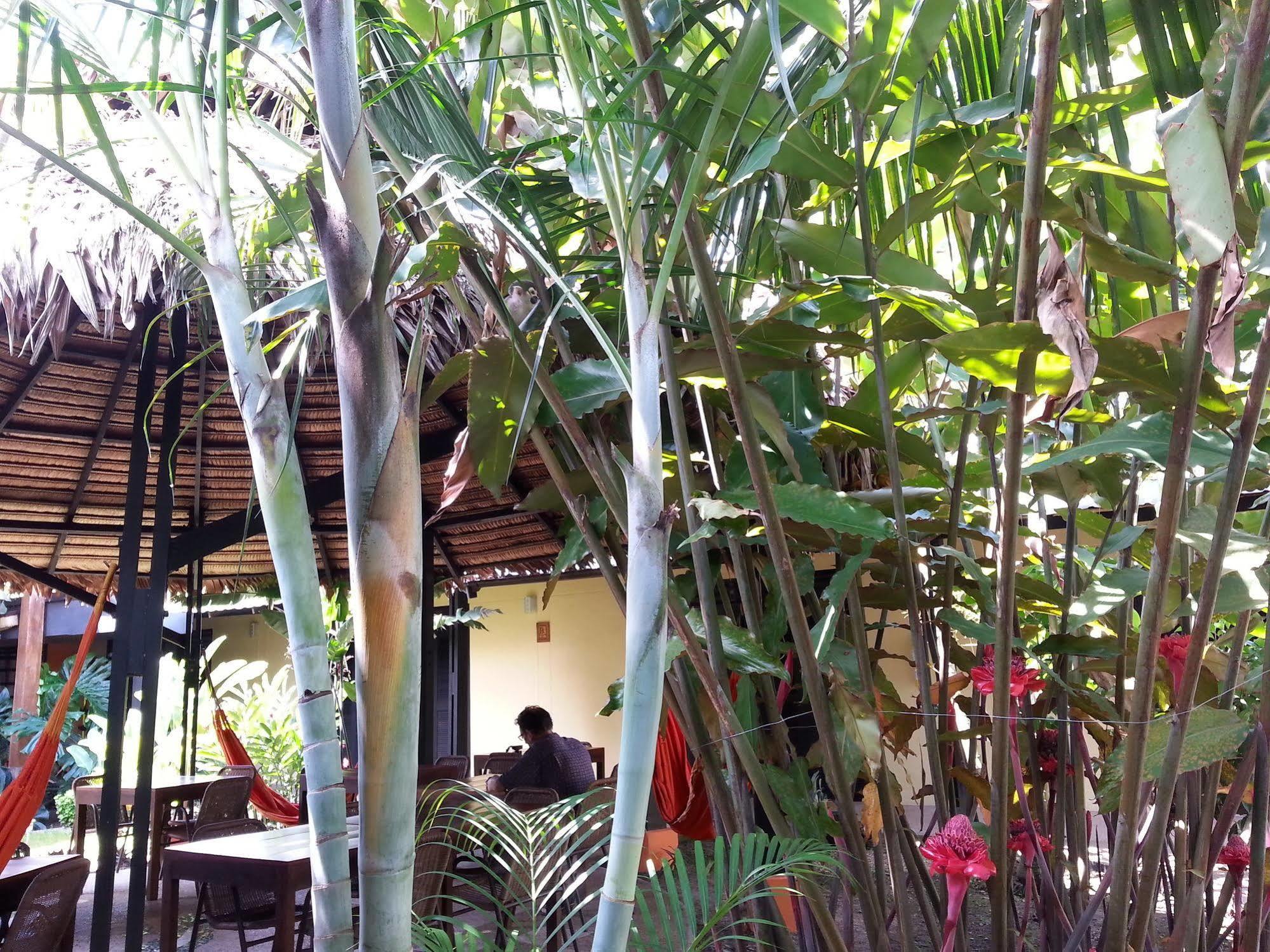Hotel Amazon Bed And Breakfast Letícia Exterior foto